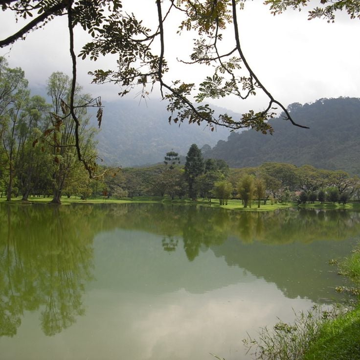 Taiping Lake Gardens