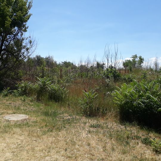 Tumuli - 2 - Chișinău, str. Grenoble, 209