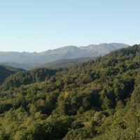 Urus-Martanovsky District