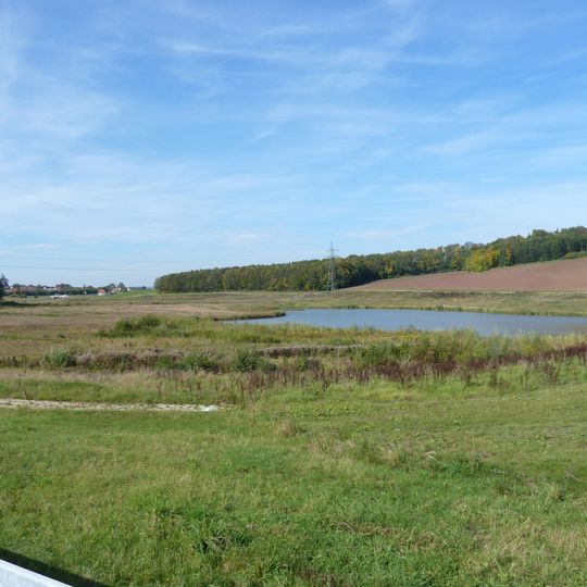 Vogelfreistätte Glender Wiesen mit Goldbergsee bei Coburg