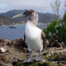 Kermadec Islands Nature Reserve