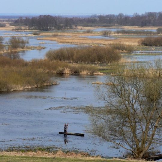 Biebrza Marshes