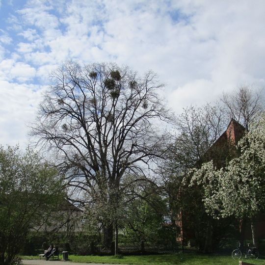 Linde Empelder Straße