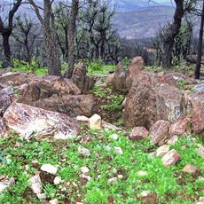 Dolmen de l'Agriotier
