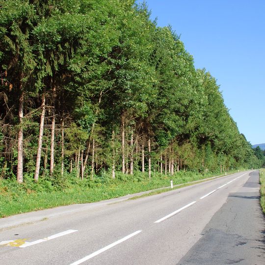Grabhügel beim vlg. Höchkiegerl