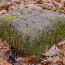 Grenzstein Tränkweiher in Fürth