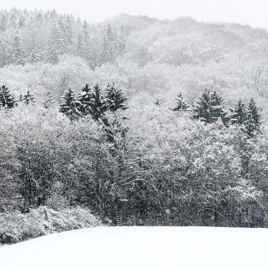 Landschaftsschutzgebiet L 2.06.03