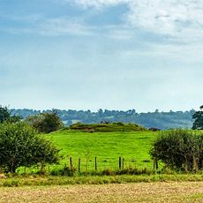 Camp Ring motte and bailey castle, enclosure, fishpond and ridge and furrow 400m east of Culmington Farm