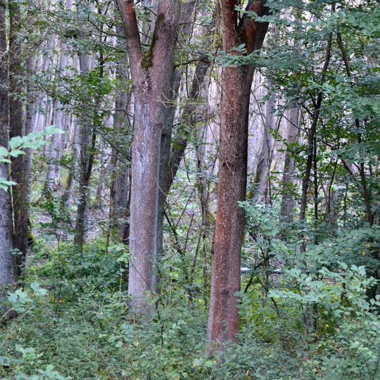 Naturpark Märkische Schweiz