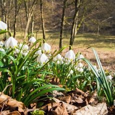 Ofenloch - Hagener Tobel