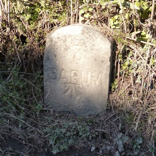Milestone, Old Bideford Road, 60m E of crossroads at Myrtle Cottage