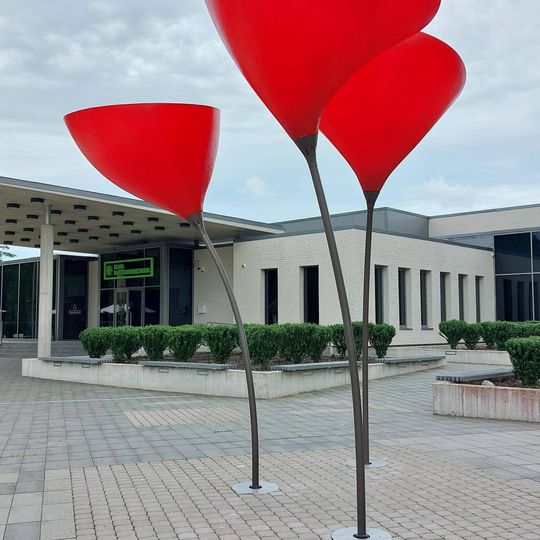 Installazione, opera d'arte