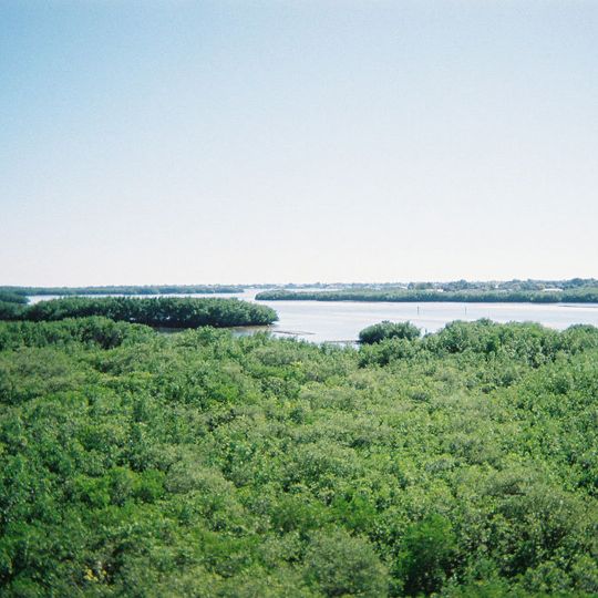 Weedon Island Preserve
