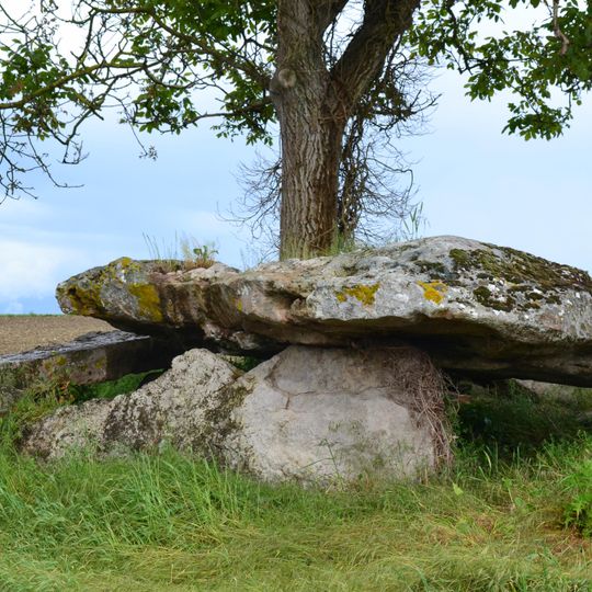 Pierre couverte du Mousseau
