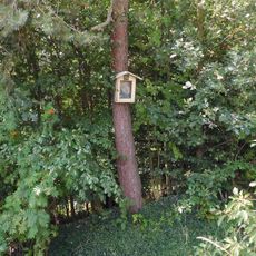 Obrázek u Rovenska v úvoze