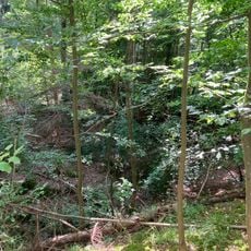 Stubensandsteinbruch mit Tümpel