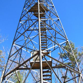 Pickett State Park Fire Tower