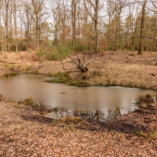 Dobbe in het Kroondomein