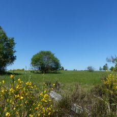 Heiden und Magerrasen Trupbach