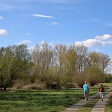 Feuchtgebiet Altwasser Deckwasen