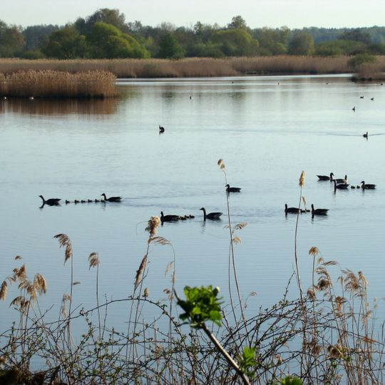 Meißendorfer Teiche, Ostenholzer Moor