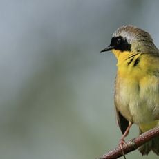 Little Bennett Regional Park