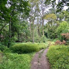 Thomas Sadler Roberts Bird Sanctuary