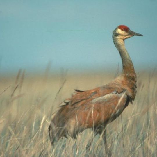 Ottawa National Wildlife Refuge