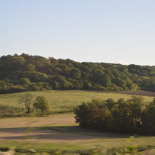 Duck decoy 700m WNW of Rookery Farm