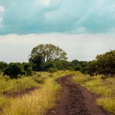 Saadani National Park