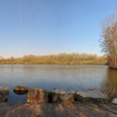 Brunosee