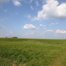 Dolinenfeld südl. d. Flugplatzes Niederstetten Häftenteile