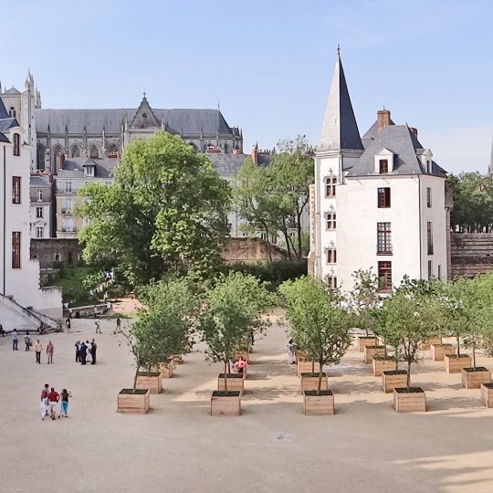 Cour du Château des Ducs de Bretagne