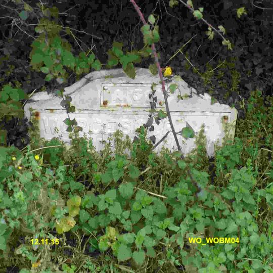 Milestone, opp. Farm shop and layby, N of Sandyway
