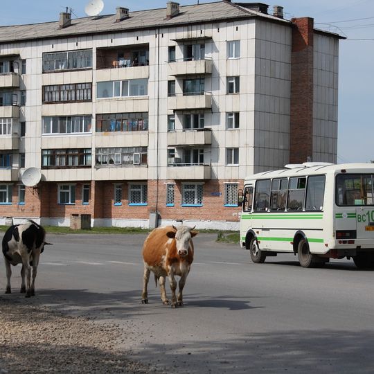 Asino