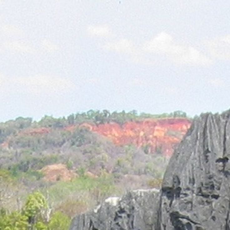 Tsingy de Bemaraha Strict Nature Reserve