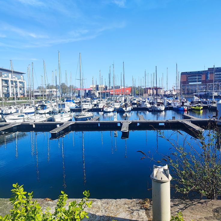 Port de Plaisance du Bassin de la Marine