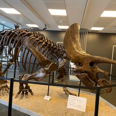 Miquel Crusafont Catalan Institute of Paleontology