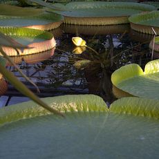 Park Narodowy Islas de Santa Fe