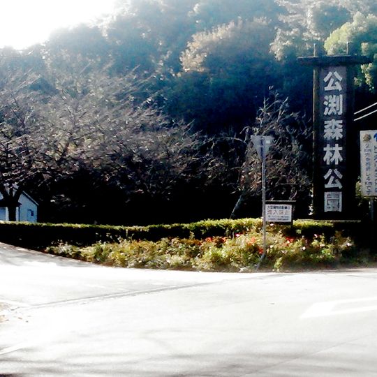 Kinbuchi forest park