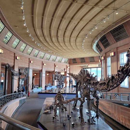 The Children's Museum