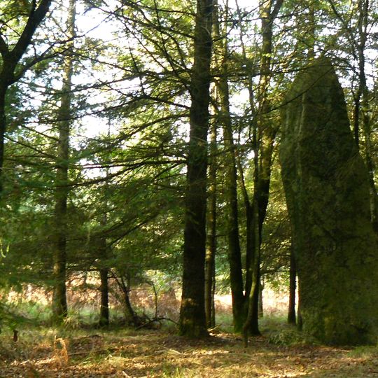 Menhir de Colého
