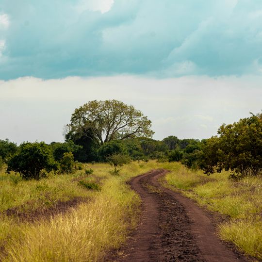 Parco nazionale di Saadani