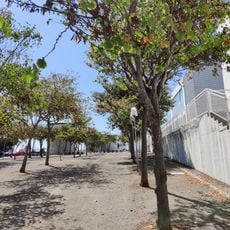 Molino de Viento