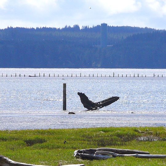 Grays Harbor
