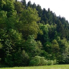 Schluchtwald bei Hundesossen