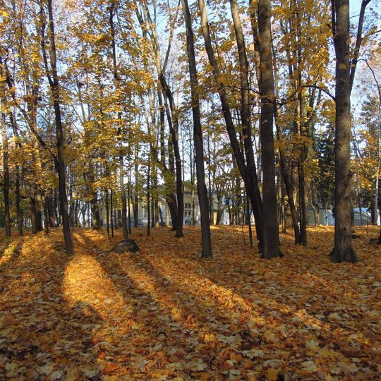 Парк усадьбы Братцево