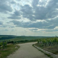 Schutzhütte Weinbauverein Wipfeld