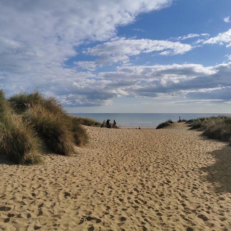 Camber Sands