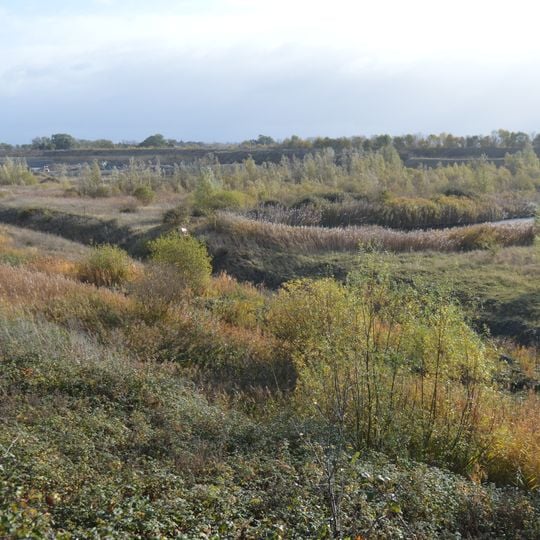 Upware Bridge Pit North